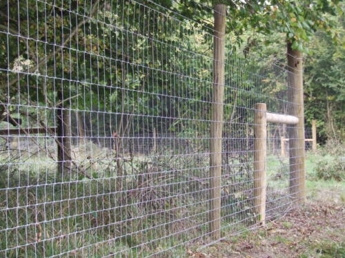 C4 Deer fencing