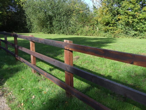 fencing 098