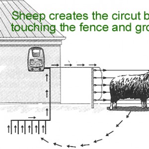 <b>Electric fencing explained